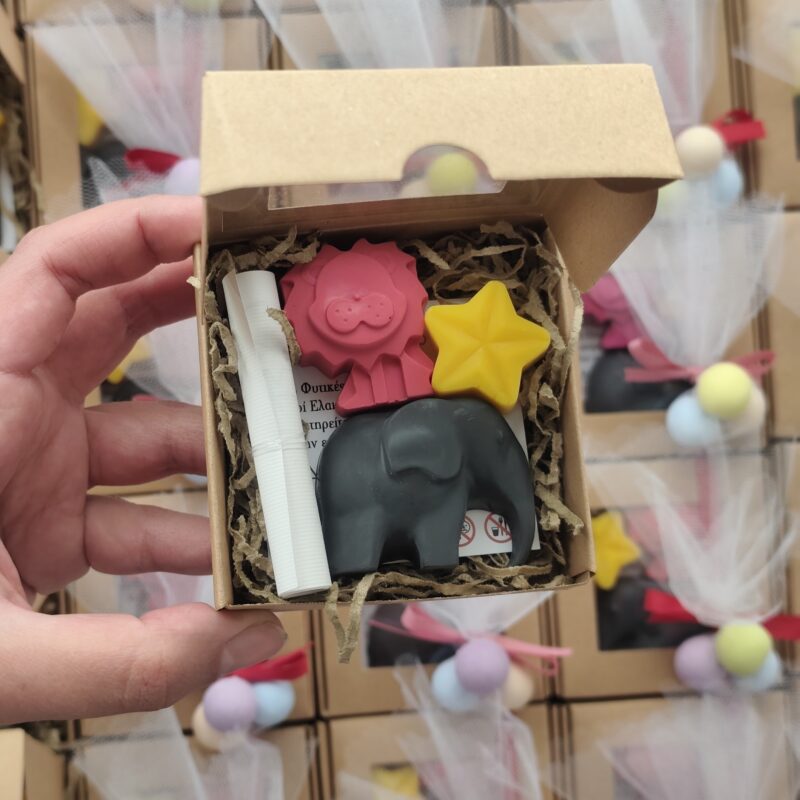 Kid's Baptism Favor "Pink Safari" Theme